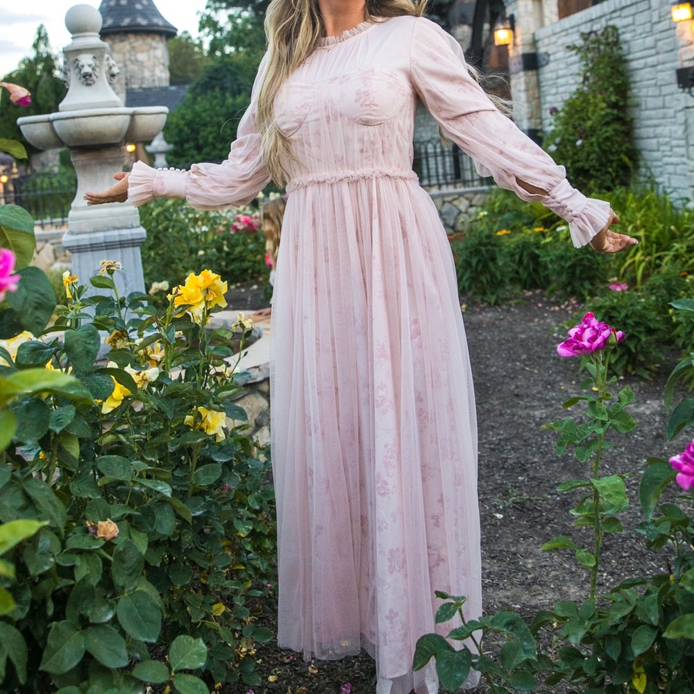 Ivy City Co Last Songbird Dress